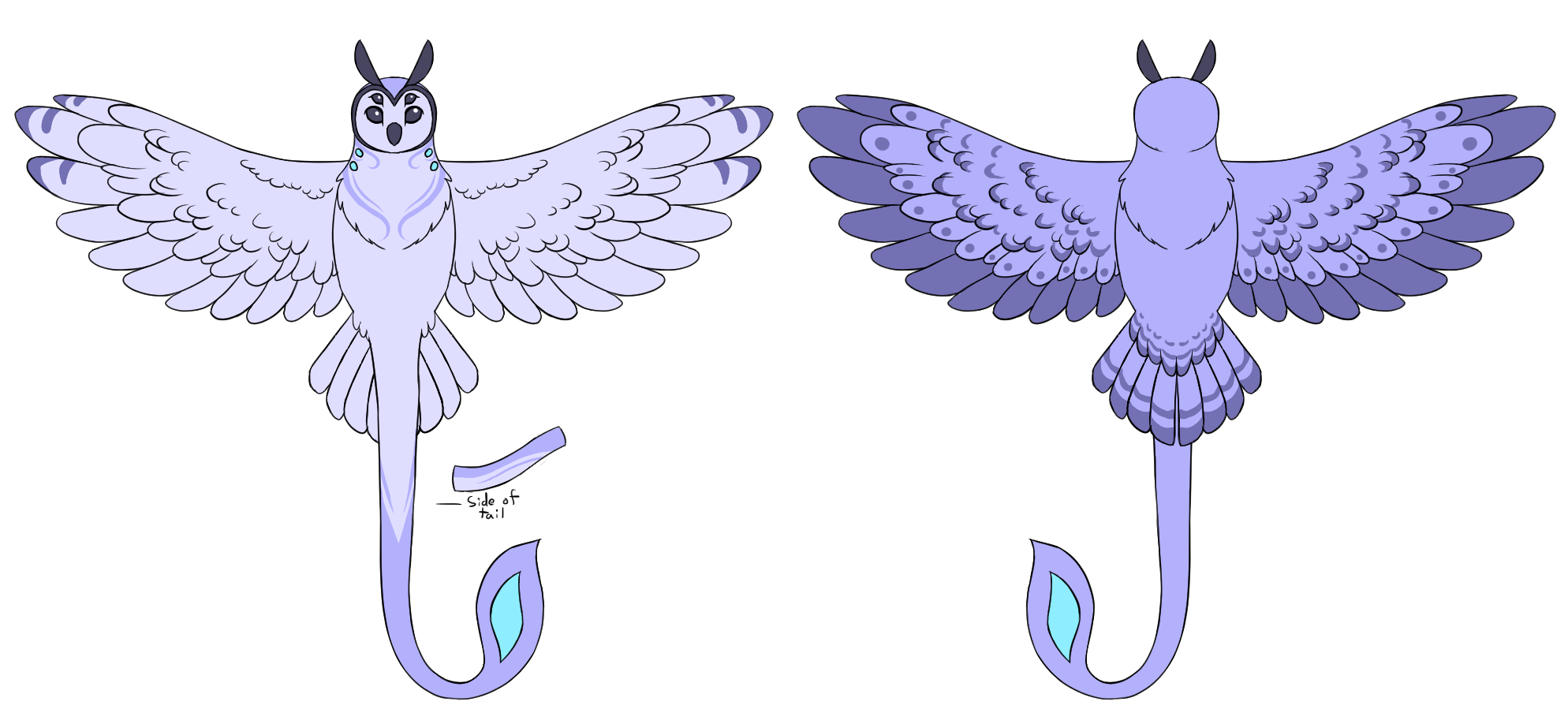 front and back of a phantomere with wings spread, showing its markings.