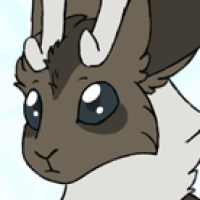 Thumbnail of P-146: Seasonal Pet MYO Slot