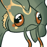 Thumbnail for P-152: Wreath