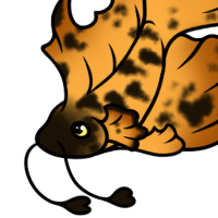 Thumbnail for P-191: Soot Fin