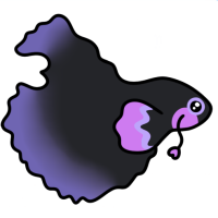 Thumbnail for P-207: Gothita