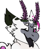 Thumbnail for MYO-205: Hibisco Laviolette