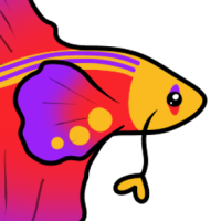 Thumbnail for P-236: Hugh Fishis