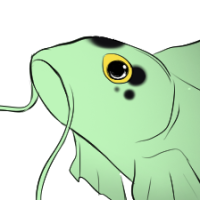 Thumbnail for P-267: Boreal