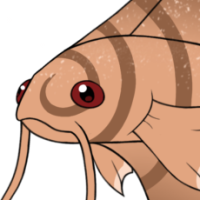 Thumbnail for P-295: Cinnabon