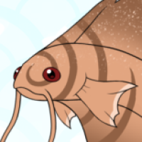 Thumbnail for P-295: Cinnabon