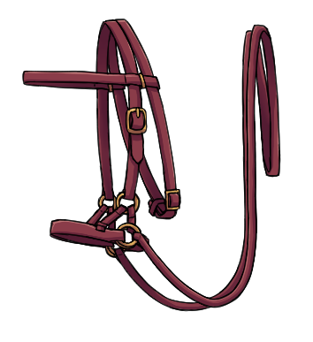 Common Dragoodle Reins
