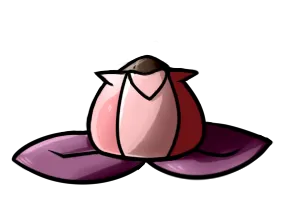 Passion's Chocolate Bloom
