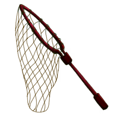 Common Suiryn Net