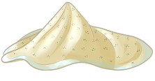 Swaddling Cloth