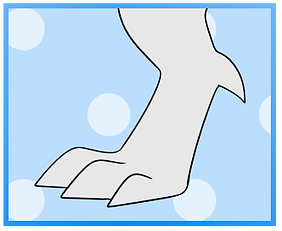 Rear Claw