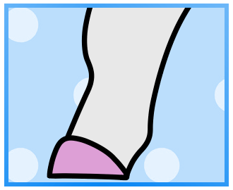 5FjKOhfTcn708-image.png