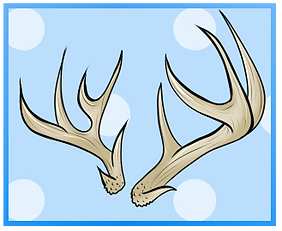 Prancer Rack