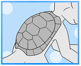 Sturdy Shell