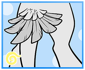 Feather Curtain