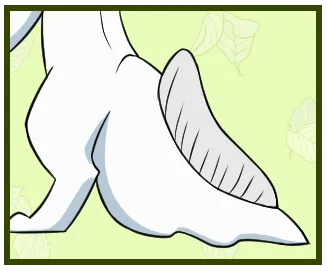 Taddler Tail