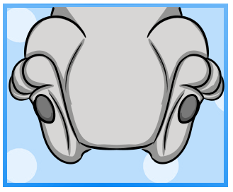Back Beans (As)