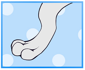 Toady Toes