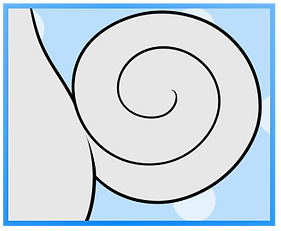 Spiral Tail