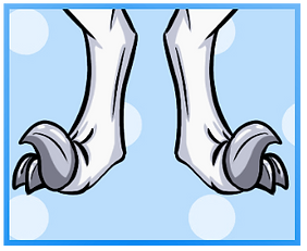 Raptor Claws