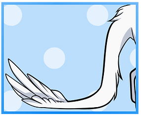 Long Feathered Tail