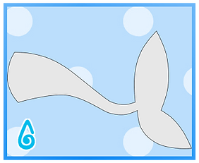 Fin Tip