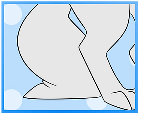 Chunky Tail