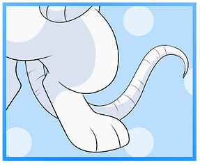 Hairless Tail