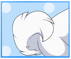 Akita Curl