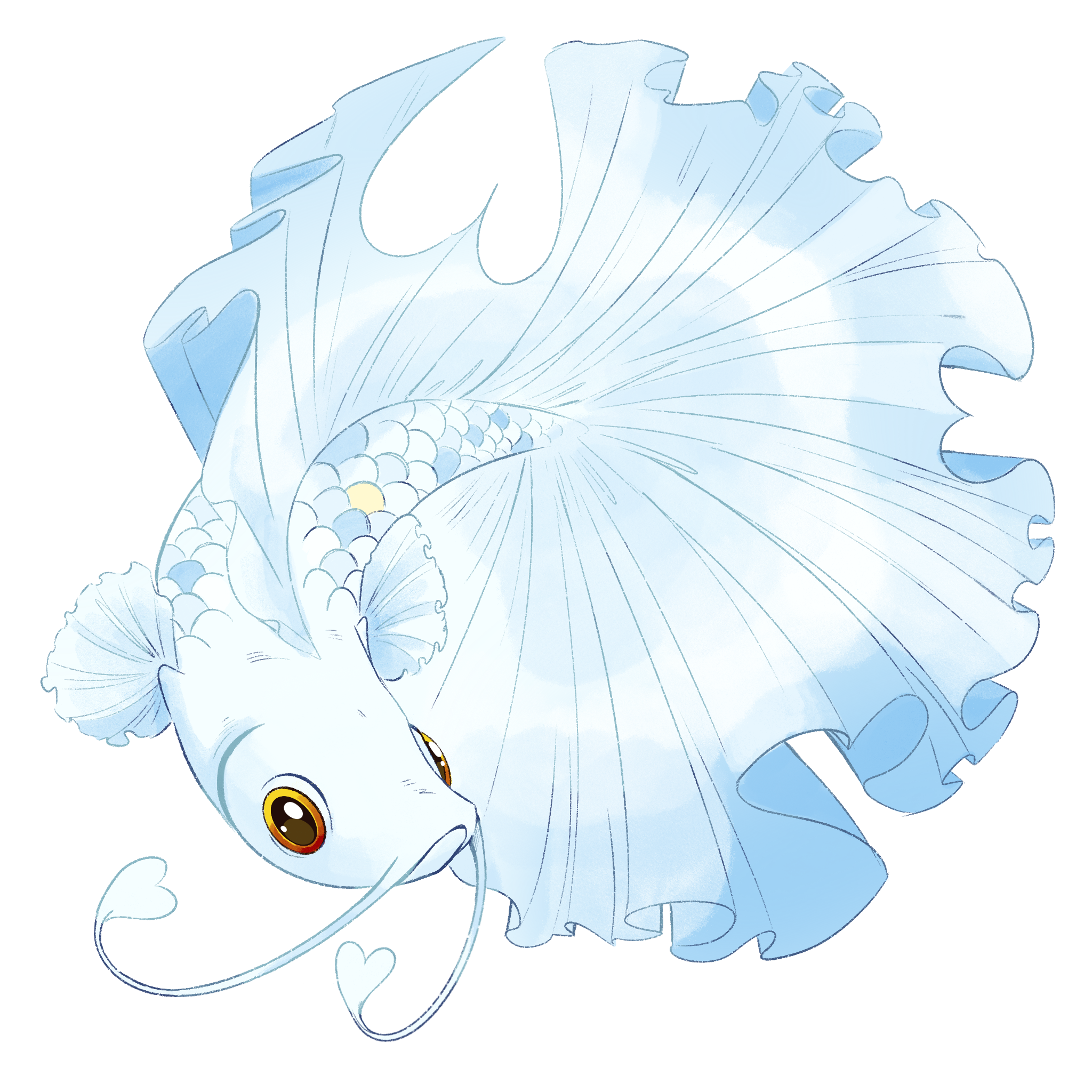 Frosty (Heart Betta)
