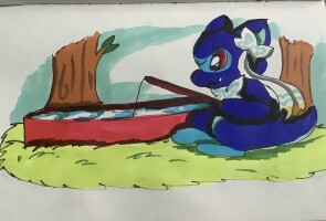 Submission thumbnail