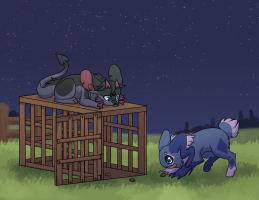 Submission thumbnail